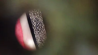Sexy phim sex thú chó ngựa